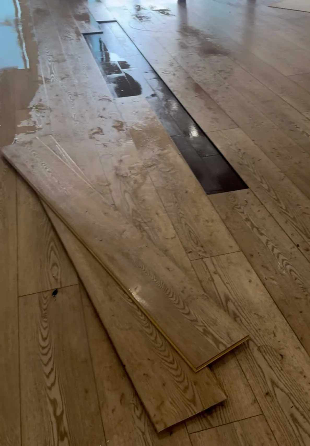 What To Do In The First 24 Hours After A Pipe Bursts And Floods Your Home 4 Water damage